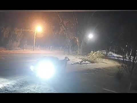 Una rama cayó sobre una camioneta y dejó herido a un hombre en San Martín