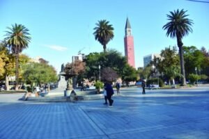 file_155599_main1